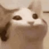 X8H3