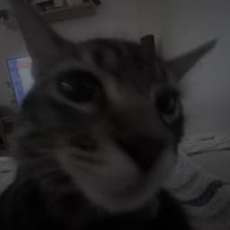 ChepyshiIa