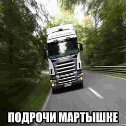 Martyshkins