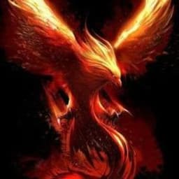 _xFenix_