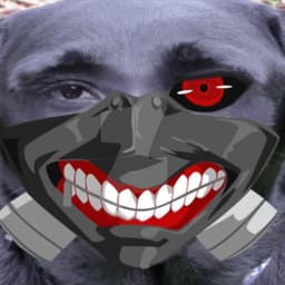 dokavo