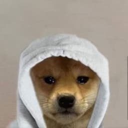 Danzoz