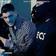 Tigri11111