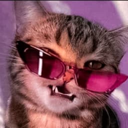 rafiboss
