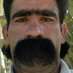 AkCavilha