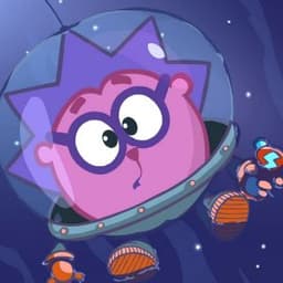HedghogZ