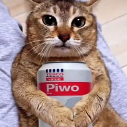 WWQO