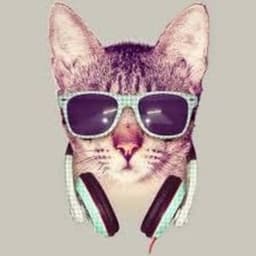 CraftKitty