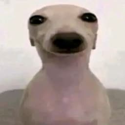 blinnikova69