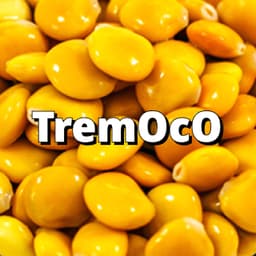 TremOcO1906