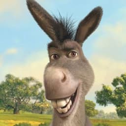 --Donkey--