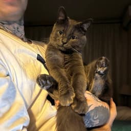 HugMe