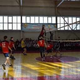 Pattreson