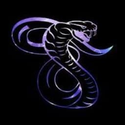 _snake1v