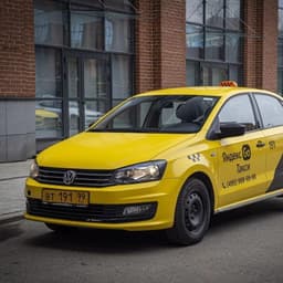 Polo_driver