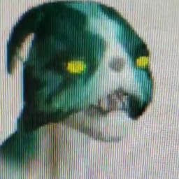 Dogemeat_exe