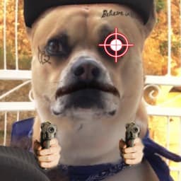 mc_pistolas