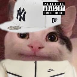 JJ_POLITE