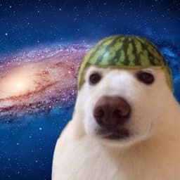 Its-4nl