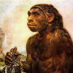 babulaotsosi