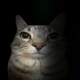 cxnguro