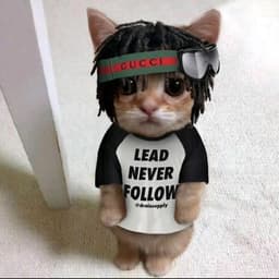 Catmanlives