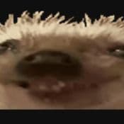 Sv0bi-