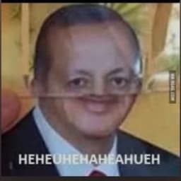 QuaRaptorX