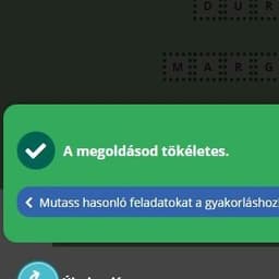 TST_FMarci