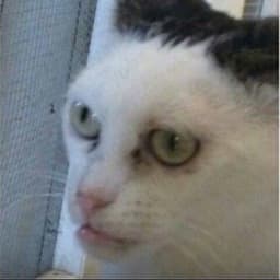 fed_0