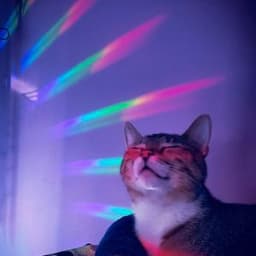 kyoooooto