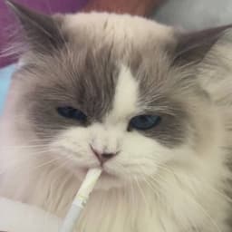 eliott-