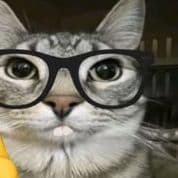 findus4life