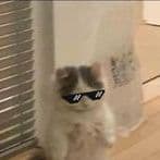 frozzRvn