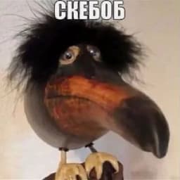 YasherVitaly