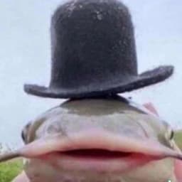 Dekkis
