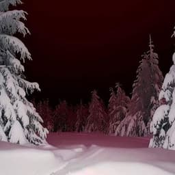PEERFECT
