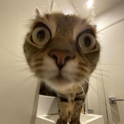 dem0nnnnnnnn