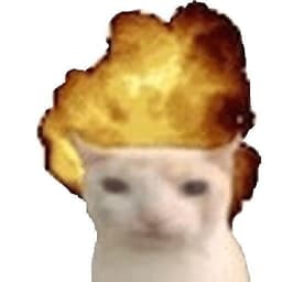 kaps1ke