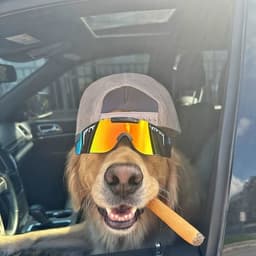 mndza420