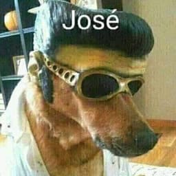 papaconas4