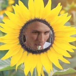 jerio_