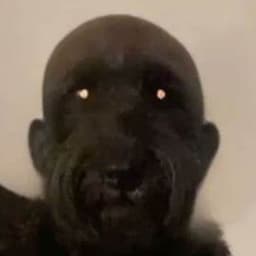 dogass09