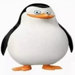 ya_ppp