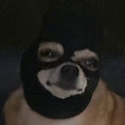 dissguy