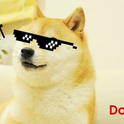 Dhieu