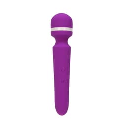 Vibrator33