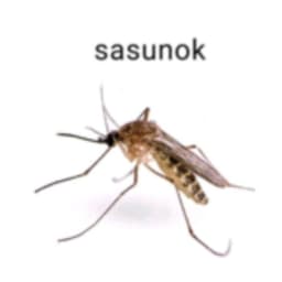 kusokku