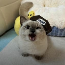 selflxrd