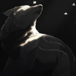 Kadir_d